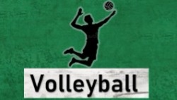 Unsere Angebote im Bereich Volleyball